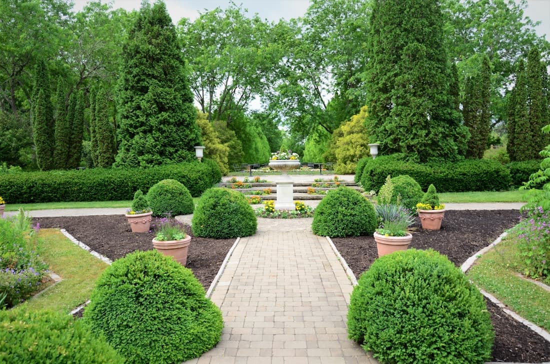 Pasto y Jardín 2